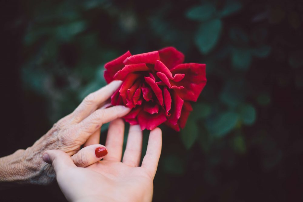 cosmetics - anti-aging