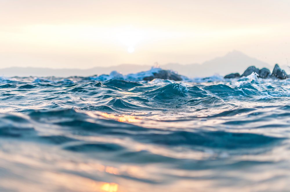 fragrances - ocean