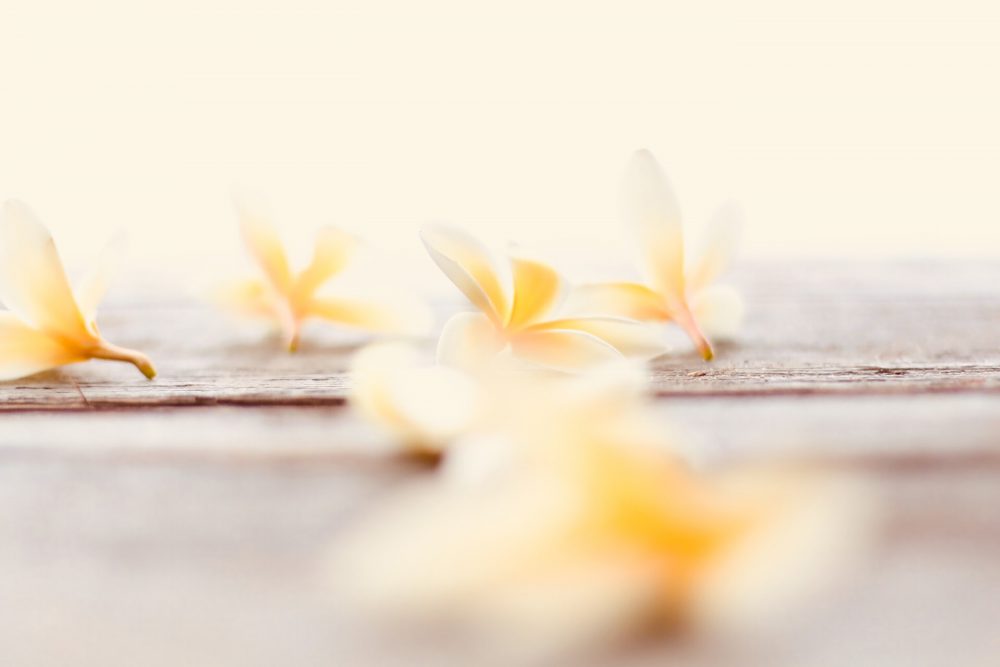 fragrances - vanilla