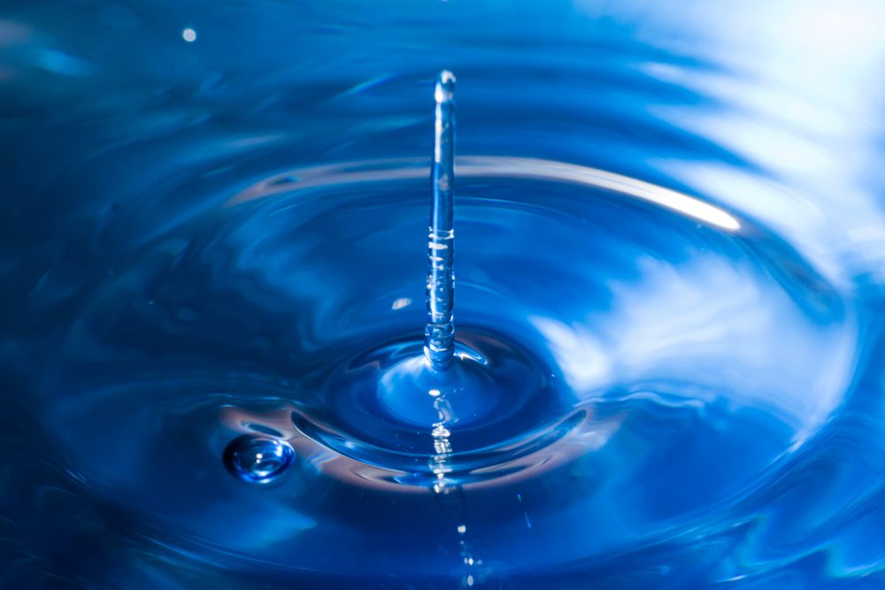 fragrances - rain water