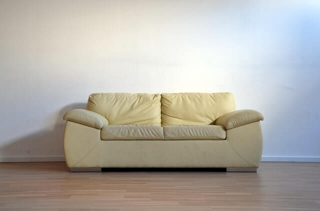 household care industry - couch cleaner